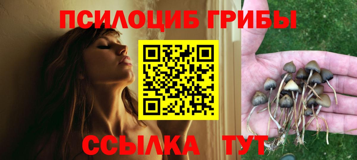 Псилоцибиновые грибы Psilocybe  Псилоцибиновые грибы ЛСД  Вход с VPN  Камышлов 